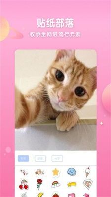 猫咪相机特效,哪个app能拍出萌态?