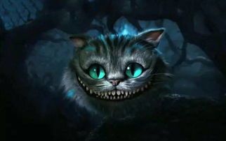家有猫咪,如何捕捉萌态瞬间?猫咪日常如何拍出大片效果?