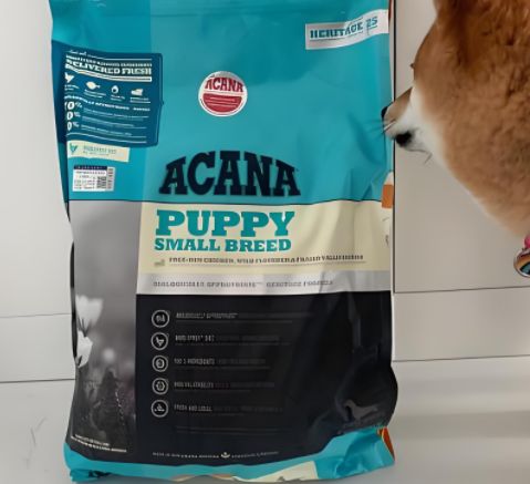 进口狗粮的品牌有哪些？热门品牌大揭秘