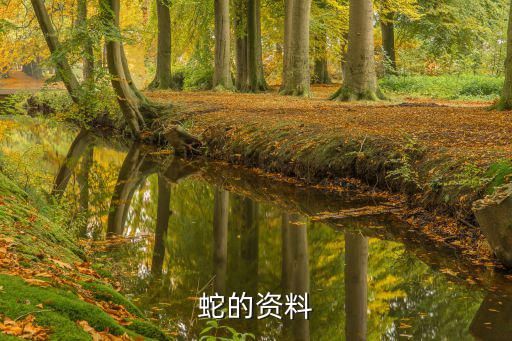 蛇的资料