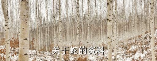 关于蛇的资料