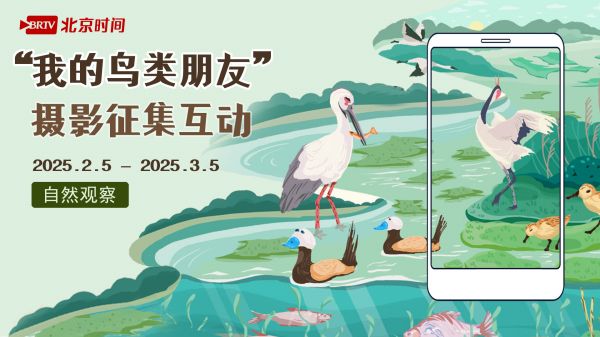 精彩图集丨“我的鸟类朋友”摄影征集互动活动人气作品 TOP5!
