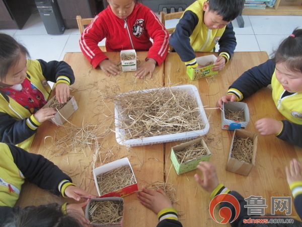 东营市广饶经济开发区社区幼儿园开展“关爱鸟类 给鸟一个家”主题教育活动