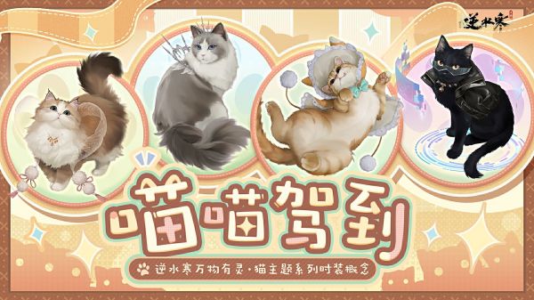 经主人潜心教导，逆家猫猫竟学会了轻功！【附猫咪系列外观抢鲜看】