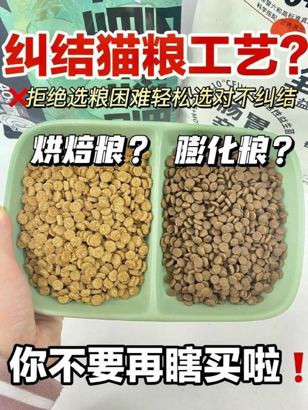 新手必看!猫粮选膨化还是烘焙?5 分钟搞懂优缺点