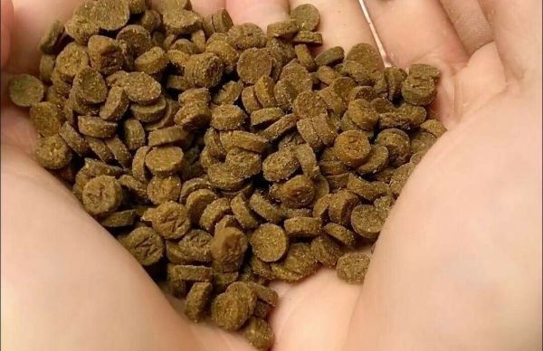 新手必看!猫粮选膨化还是烘焙?5 分钟搞懂优缺点