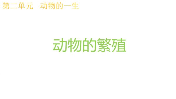2.7动物的繁殖.pptx_第1页