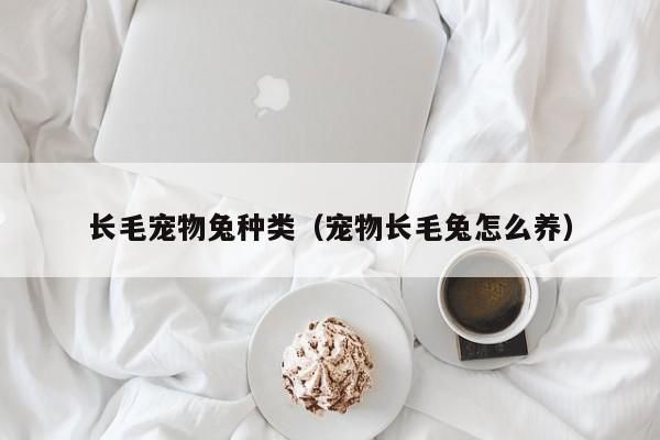长毛宠物兔种类（宠物长毛兔怎么养）