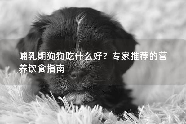 哺乳期狗狗吃什么好？专家推荐的营养饮食指南