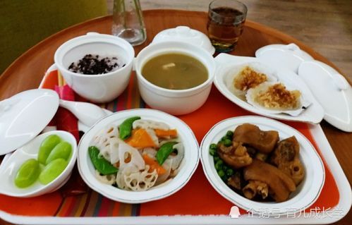 产后母狗增奶食谱推荐