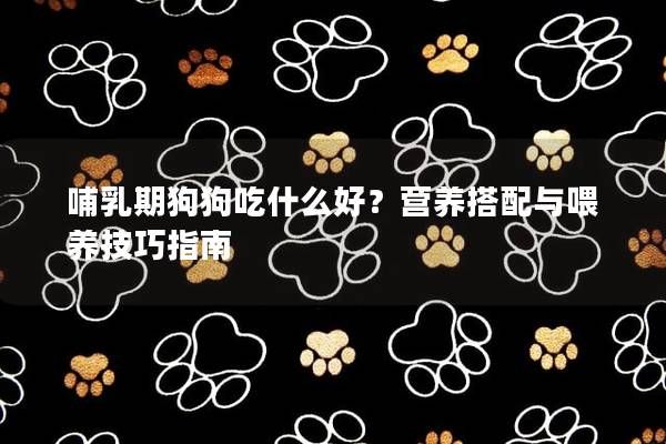 哺乳期狗狗吃什么好？营养搭配与喂养技巧指南