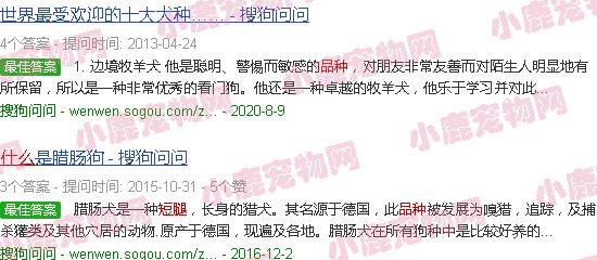 短腿长毛狗是什么品种