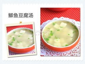 宠物离乳期营养食谱推荐