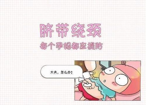 “宠物怀孕困扰?安全打胎攻略来啦!”