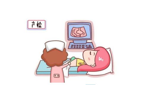 “宠物怀孕困扰?安全打胎攻略来啦!”