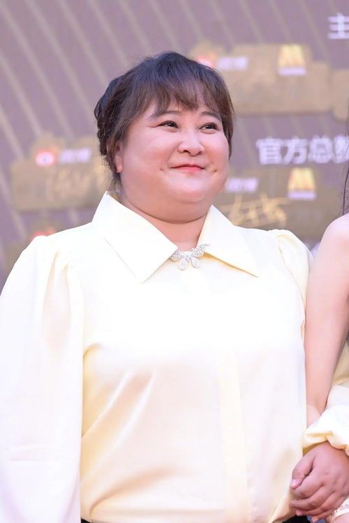 宠物怀孕须知:科学孕育,关爱宠物健康