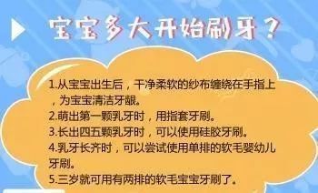宠物怀孕护理要点须知