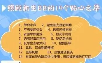宠物怀孕护理要点须知