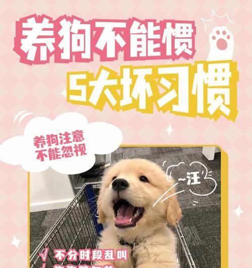 冬季狗狗养护指南（宠物狗的健康与快乐冬季生活）