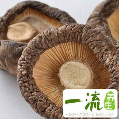冬季养生三大食谱推荐