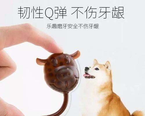 狗狗磨牙必买清单（选择适合狗狗的磨牙用品，让它健康快乐成长）