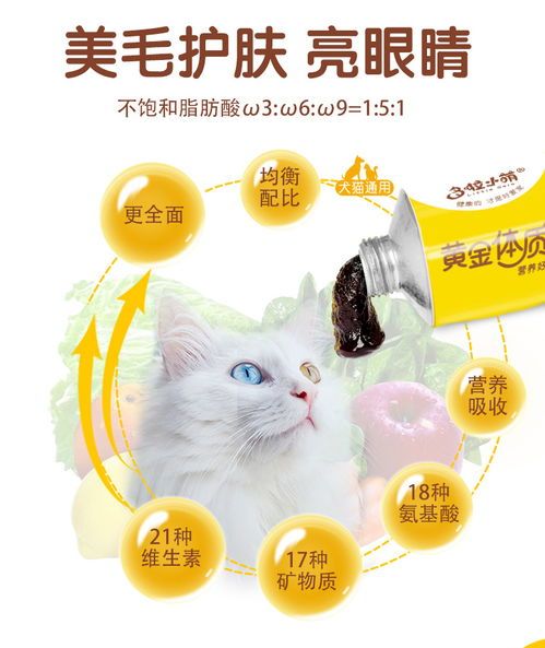 增强宠物活力,提升免疫力