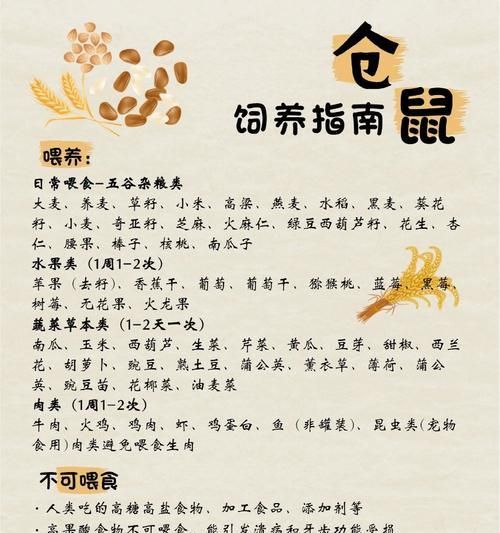 在宠物店挑选仓鼠时应注意哪些要点？如何鉴别仓鼠的健康状况？