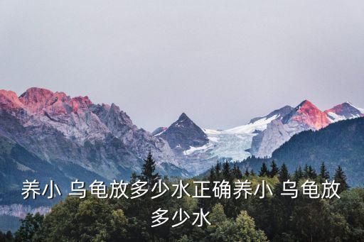 养小 乌龟放多少水正确养小 乌龟放多少水
