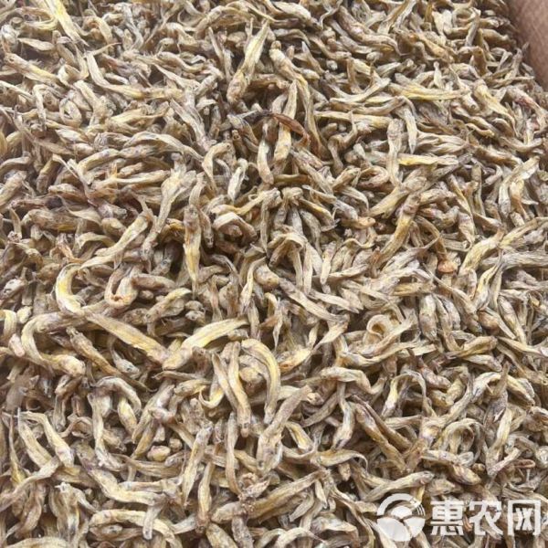 黄鱼 狗头鱼 地摊 电商 批发 光鱼 小黄鱼 龟粮 宠物粮食