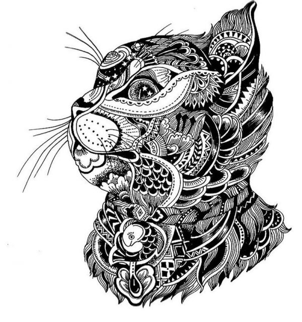 猫咪装饰画图片大全