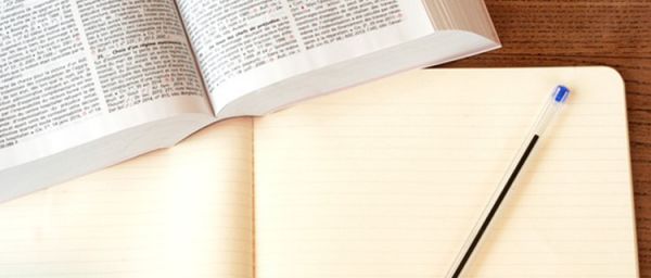 宠物伤人主人要负全责吗