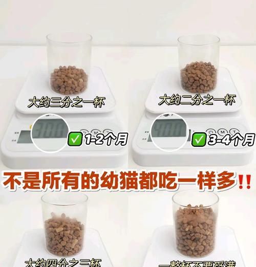 猫粮喂食量控制有技巧吗？