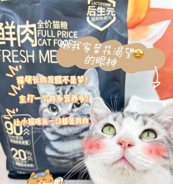 成年猫的饮食需求与营养搭配（科学饲养，让猫咪健康成长）