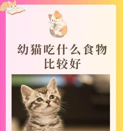 成年猫的饮食需求与营养搭配（科学饲养，让猫咪健康成长）