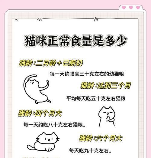 成年猫如何喂合适的猫粮？有哪些推荐？