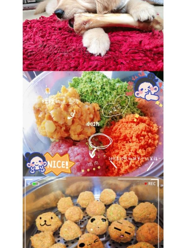 狗狗婴儿辅食食谱大全图片 狗狗婴儿辅食食谱大全图片高清