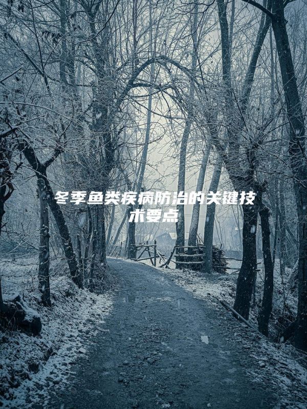 冬季鱼类疾病防治的关键技术要点