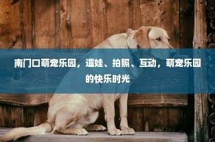 南门口萌宠乐园，遛娃、拍照、互动，萌宠乐园的快乐时光