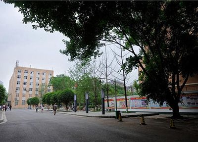 初中毕业读宠物医疗与护理专业怎么样?焦作中职学校推荐!