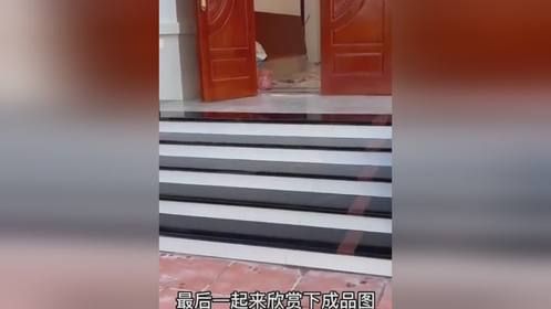 这样独特的砌建台阶技术，简直太厉害了，效果美观大方。