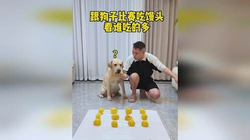狗子：心思都收起来，我靠的是实力…