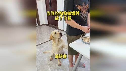 狗子：人老屁股松，放屁响叮咚