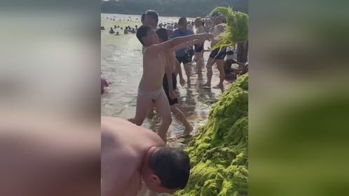 海面变“草原”？青岛海边浴场遭浒苔侵袭 游客自发打捞堆成小山