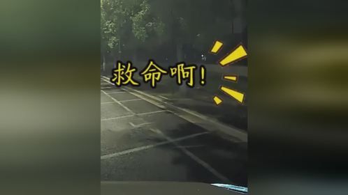 99年山西女子远嫁遭丈夫家暴路边呼救 热心司机路过及时伸出援手