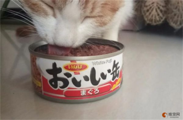 猫罐头太贵如何自制猫罐头 配方以及制作做法