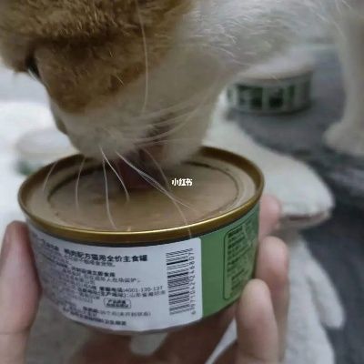 一盏燕窝猫罐头如何做的