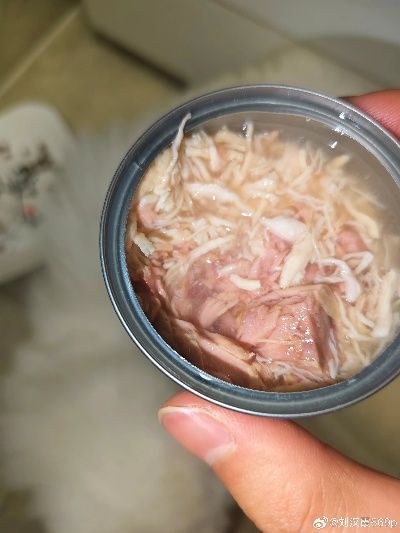 一盏燕窝猫罐头如何做的