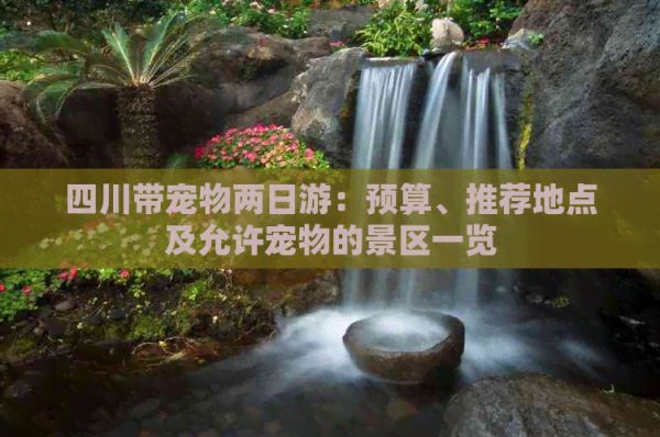 四川带宠物两日游：预算、推荐地点及允许宠物的景区一览