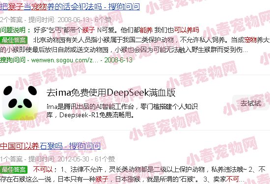 中国有宠物猴可以养吗?