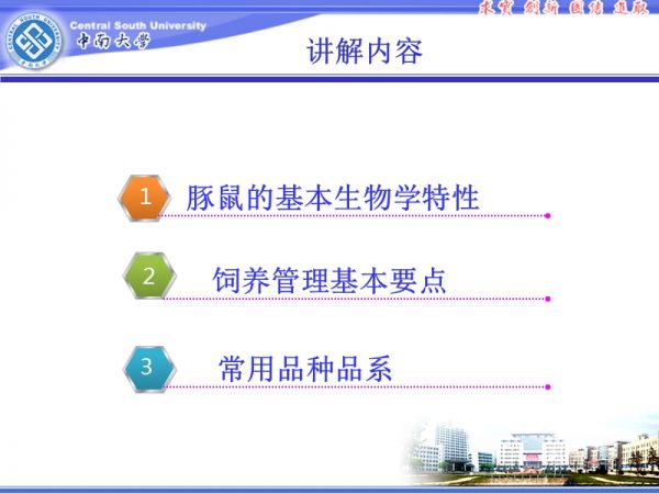 豚鼠的饲养管理.ppt_第2页